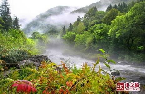 长白天气预报10天查询，末来十天天气