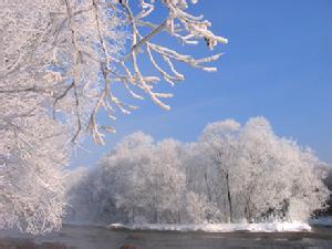 红星天气预报10天查询，末来十天天气