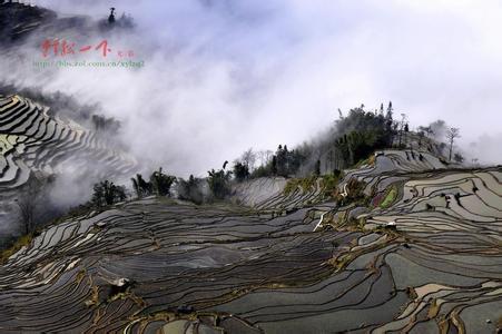 原阳天气预报10天查询，末来十天天气