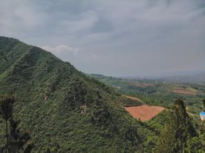 临渭pm2.5实时查询,临渭区空气质量指数查询