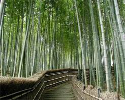 兰州竹林沟