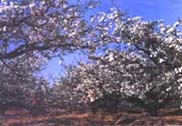 莱阳蚬河公园天气 莱阳蚬河公园天气
