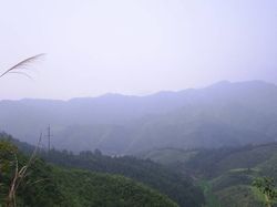 惠州古田自然保护区天气