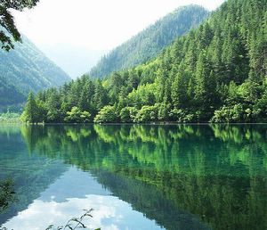 成都龙泉天气 成都龙泉天气