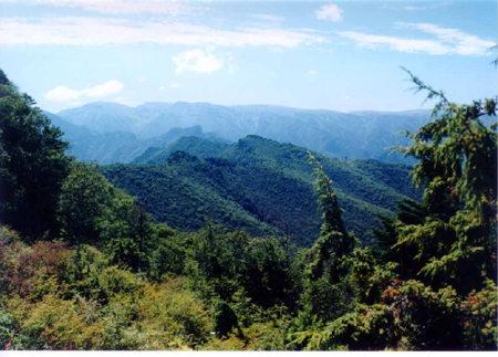 西安老县城自然保护区天气