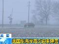 福建古田遭受暴雨冰雹袭击