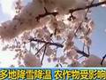 内蒙古持续干旱牧民生产生活受影响