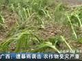 美国龙卷风席卷多地恶劣天气已经造成至少17人死亡