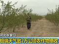 白宫发布美国气候评估报告美或遭更多极端天气侵袭