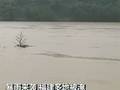暴雨来袭福建多地被淹