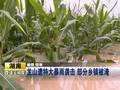 湖南龙山遭特大暴雨袭击