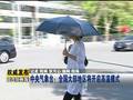 主播关注：寻找夏日里那些清凉衣料