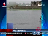 大闸蟹有毒传闻是真的吗?