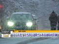 大连大雪节气迎降雪