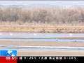 福建长乐：警民合力放生百岁鹰嘴龟