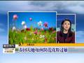 呼和浩特：黄河内蒙古段开河近尾声