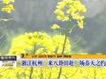 浙江杭州：来八卦田赴一场春天之约