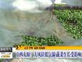 山西大风拉低气温蔬菜生长受影响