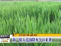 新一轮大范围降水今日来袭