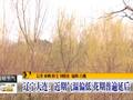 沙尘天气里如何做好健康防护？