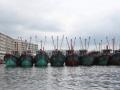 海南开始伏季休渔应休渔船回港