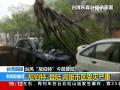 台风“尼伯特”今晨登陆台东昔日热闹街道满目疮痍
