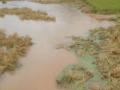 攀枝花强降雨致9人遇难 泥石流冲入民房