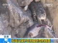 六城初雪风色寒 都在问今年是冷冬吗？