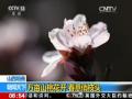 春回大地 春意盎然