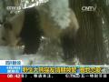 登山运动健康步法攻略
