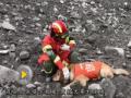 茂县山体塌方救援：搜救犬累倒现场
