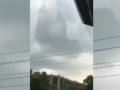 重庆十级大风现场 树木风雨中摇曳