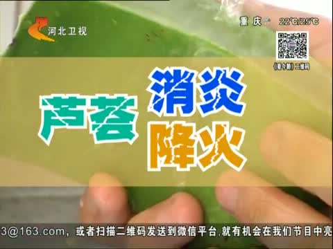 今朝服务 网传口含芦荟能治牙疼 是真的吗?
