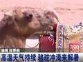 河北沧州：天气炎热带动榨汁机热销