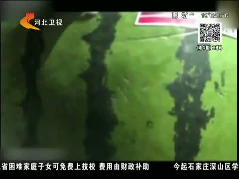 今朝求真 电动车装遮阳伞犹如“加把刀”是真的吗?
