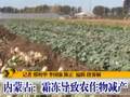 “木星合月”18日凌晨上演