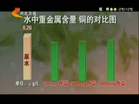 香菜可以过滤水中的重金属 是真的吗?