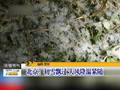 降雪致东天山牧场放牧困难