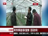 网传草莓能毒死蜜蜂 是真的吗