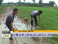 苏皖等地雨水减弱浙赣湘黔将成强降雨下一站