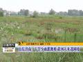 北京高温电网负荷突破历史纪录