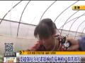 30秒看南方近两月到底泼下多少雨?