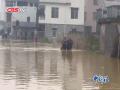 广东防总:信宜遭遇超200年一遇降雨袭击
